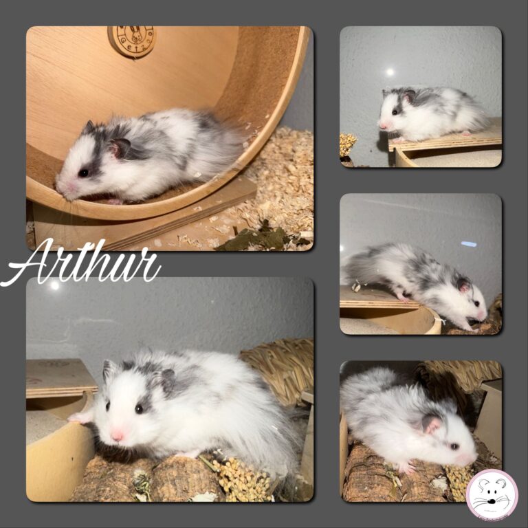 Arthur