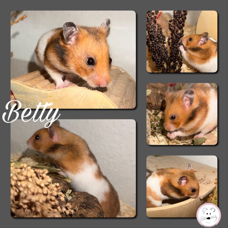 Betty